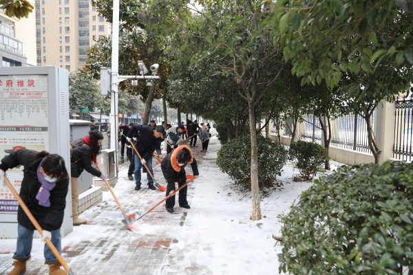 1708740427988842.png 图片1.png