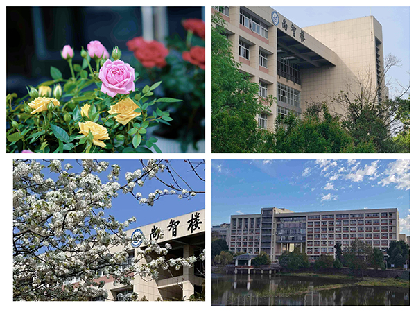 1715217548742627.jpg 633f83e9cdeda0d86269ea63b048fa1.jpg